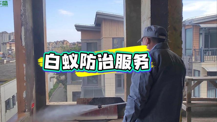 专业白蚁防治服务 为您的家园排忧解难