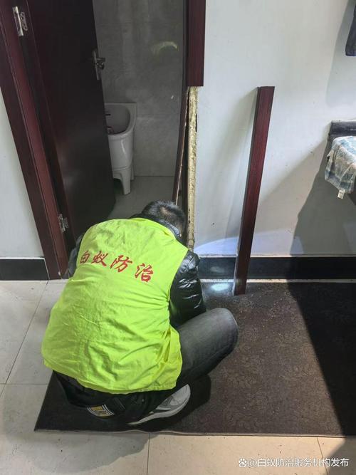 虹口区白蚁防治服务指南 防治所及服务治理中心联系方式